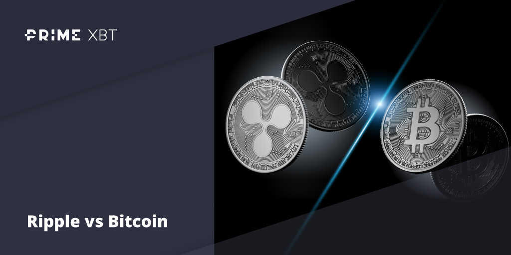 Ripple versus Bitcoin: Which Cryptocurrency makes the better trade or investment opportunity? - blog primexbt ripple bitcoin