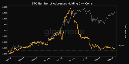 Market Research Report: Stocks and Crypto Crash In Tandem Forcing Margin Liquidations - market research 4