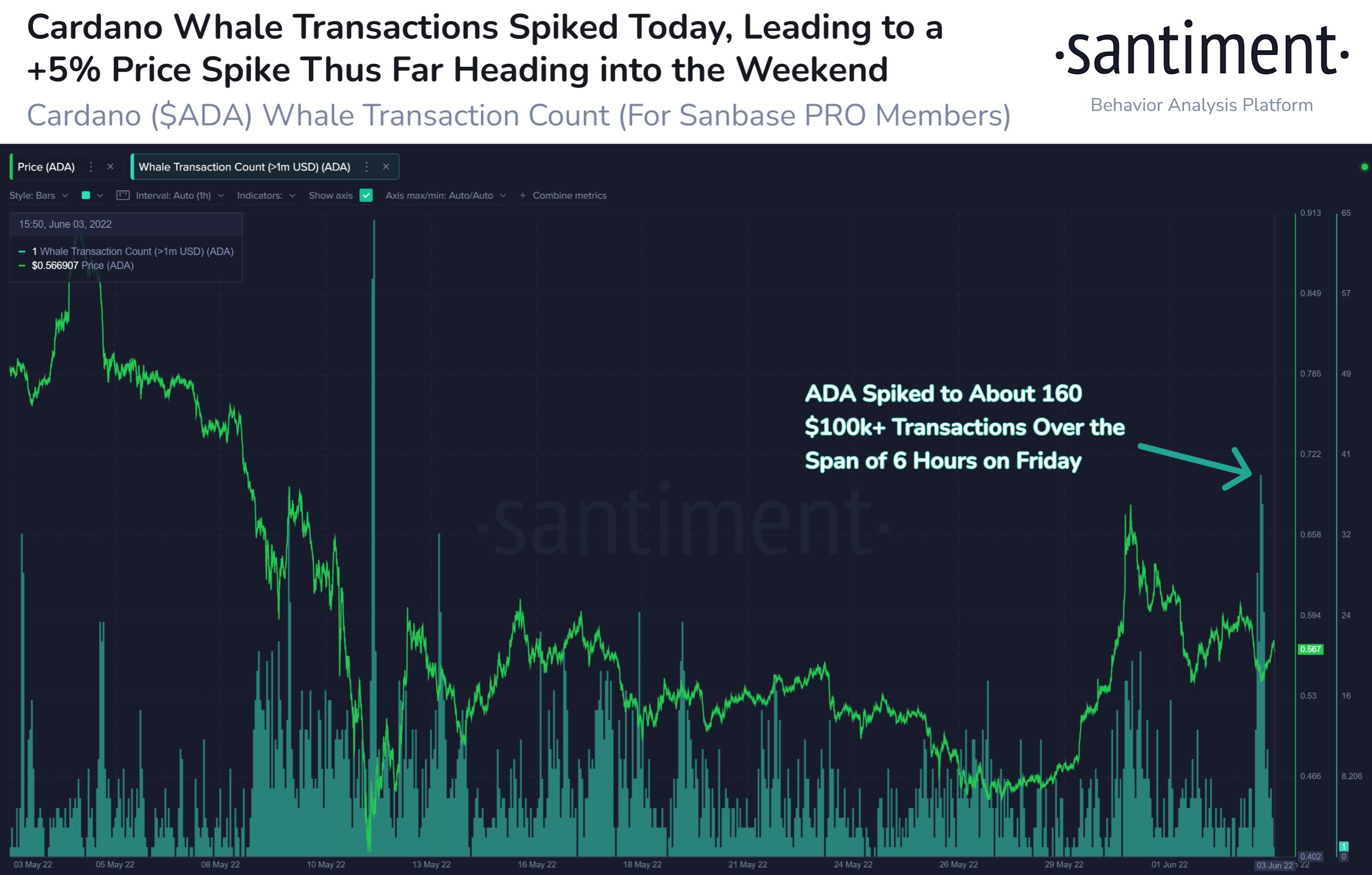 Market Research Report: Oil Spikes Higher After Breakout, Stocks Drop on Better Job Numbers, Crypto Consolidates - ADA