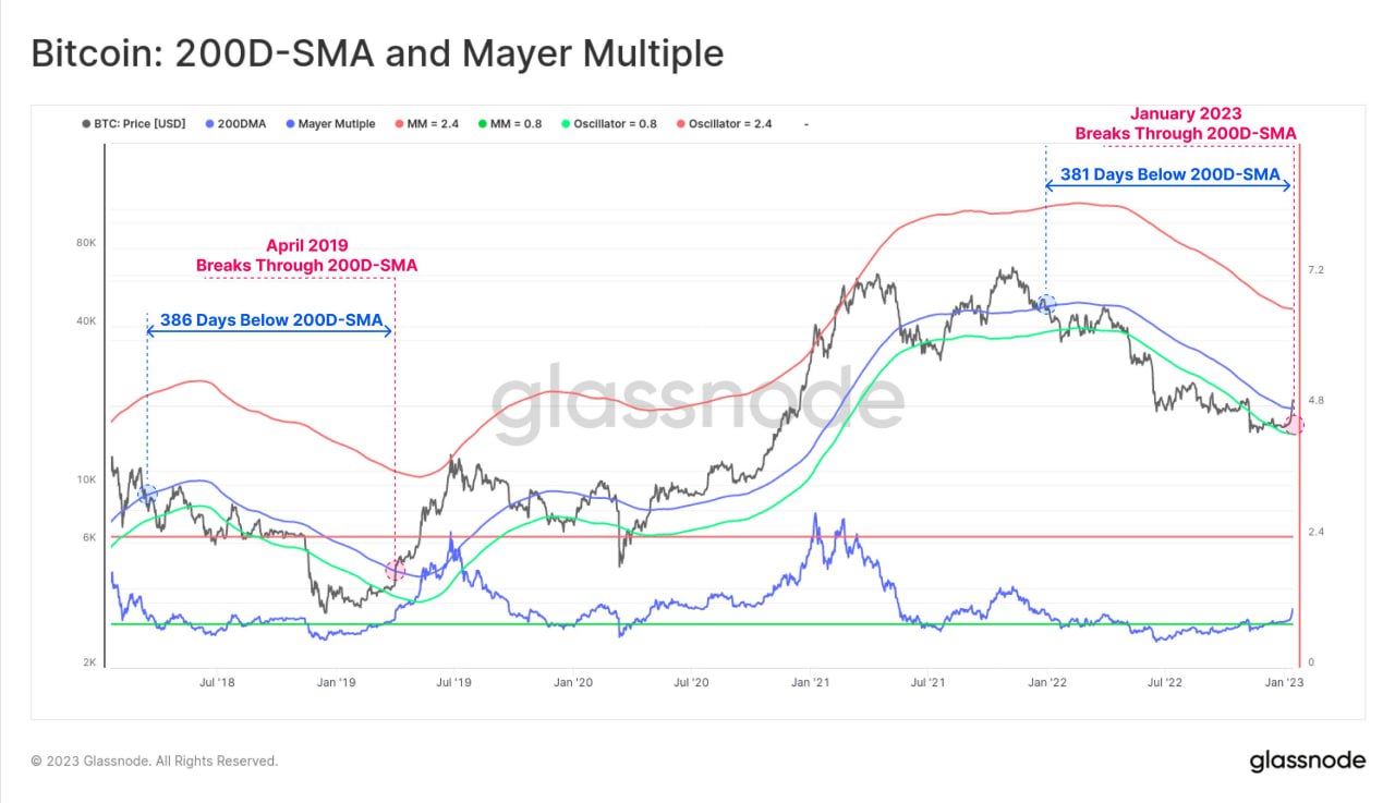 Market Research Report: Crypto Prices Pump as Whales Kill Shorts with Massive Short Squeezes, Gold Breaks $1,900 After Tamer US CPI - BTC 200 day MA