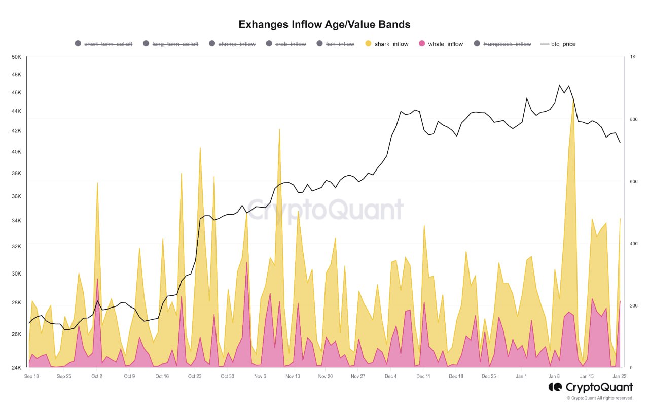 Market research report: BTC recovers from the depth of hell as sales recede, oil rises as China stimulus boosts stocks - BTC whale sales