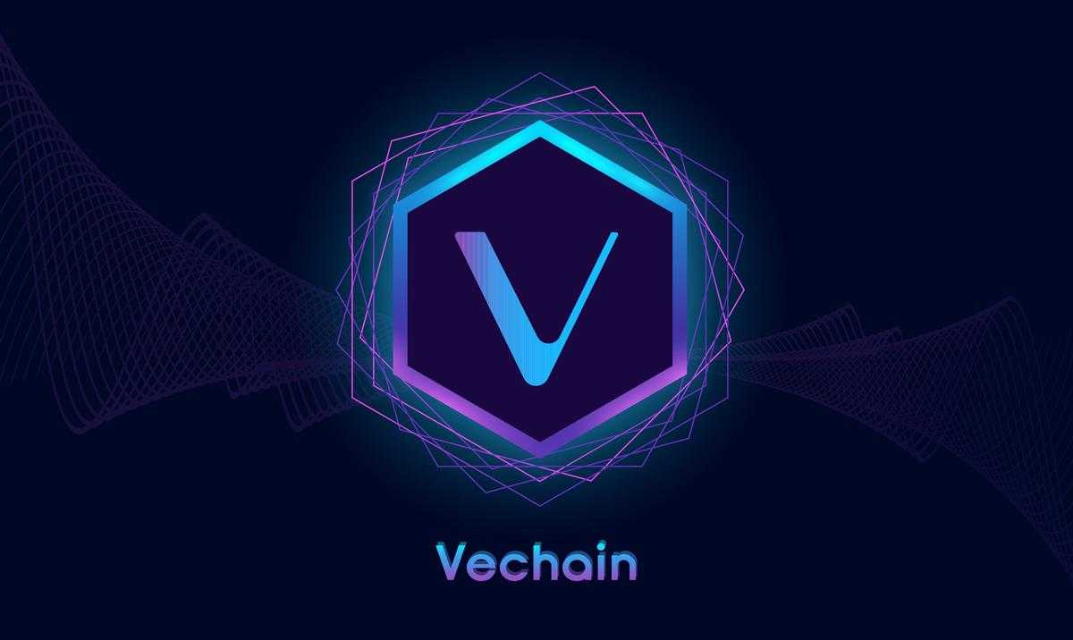 VeChain Price Prediction: Will VET Price Rise Again? - b2462692 580f 4eba 92c4 1a235c70df4d