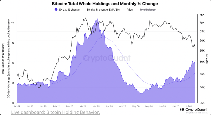 Market research report: Bitcoin to 63k as supply overhang worries ease and Trump’s election odds soar - whales