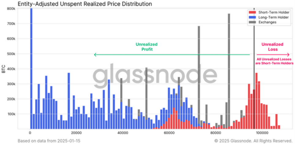 Bitcoin hits a new ATH ahead of Trump’s inauguration. Can BTC rise higher? - unrelised price distribution