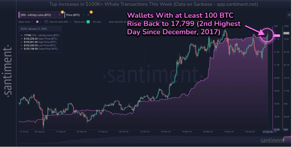 Bitcoin hits a new ATH ahead of Trump’s inauguration. Can BTC rise higher? - whales 4